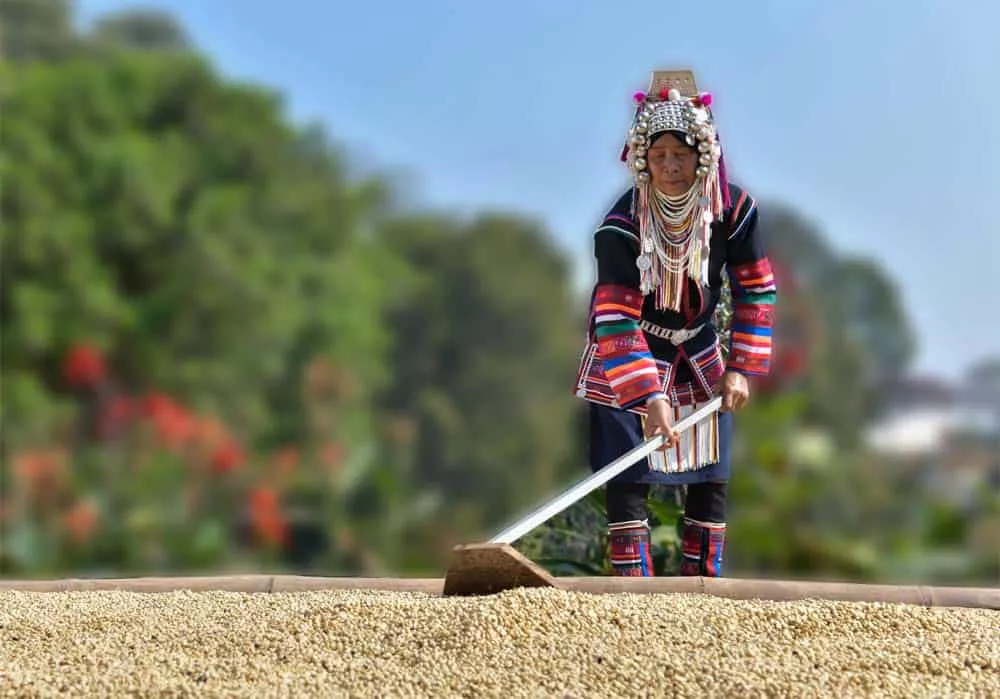 Toraja Coffee